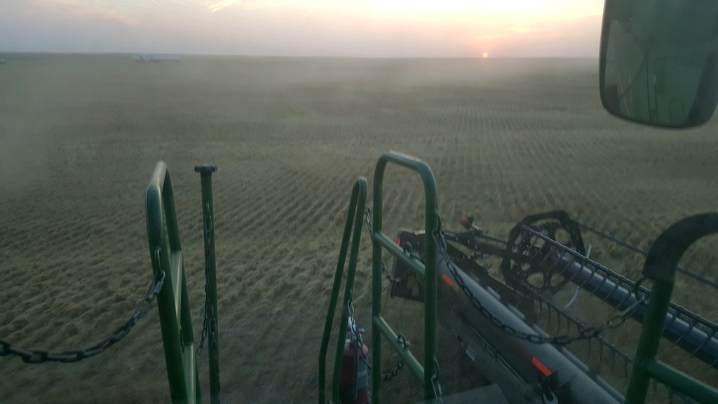 Schemper Harvesting