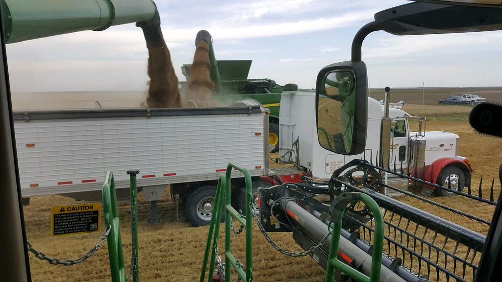 Schemper Harvesting