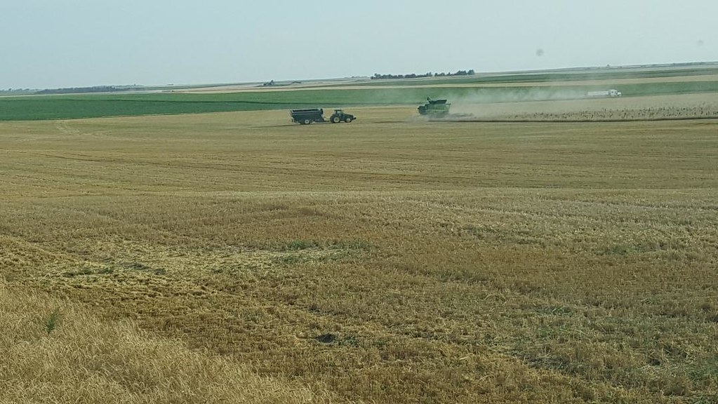 Schemper Harvesting