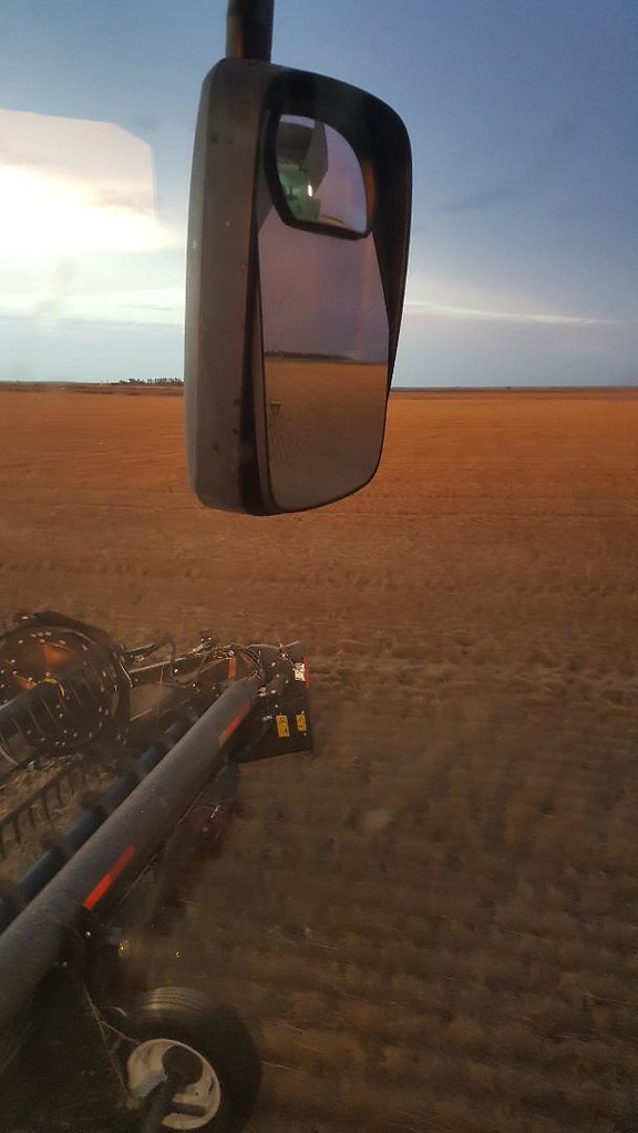 Schemper Harvesting