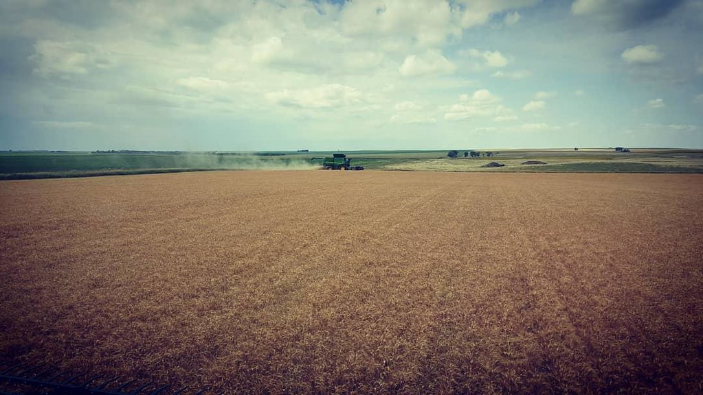 Schemper Harvesting 2018