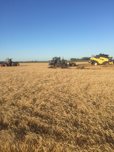 Dad getting pulled out by the tank puller AND 4-wheel drive.