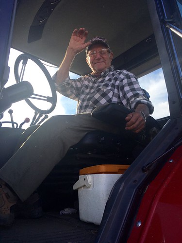 Grandpa Hiladore running grain cart. Isn't he the cutest?!