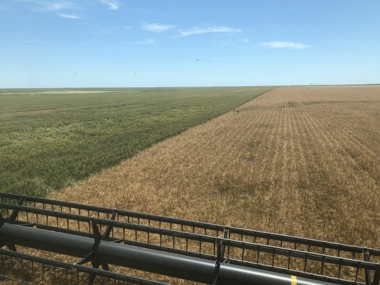 All Aboard Harvest