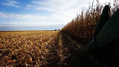 Schemper Harvesting 2018