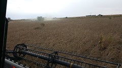 Schemper Harvesting 2018