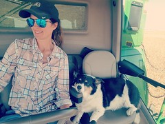 Schemper Harvesting 2018