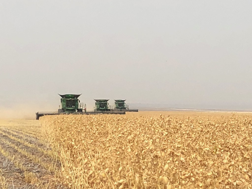 Schemper Harvesting