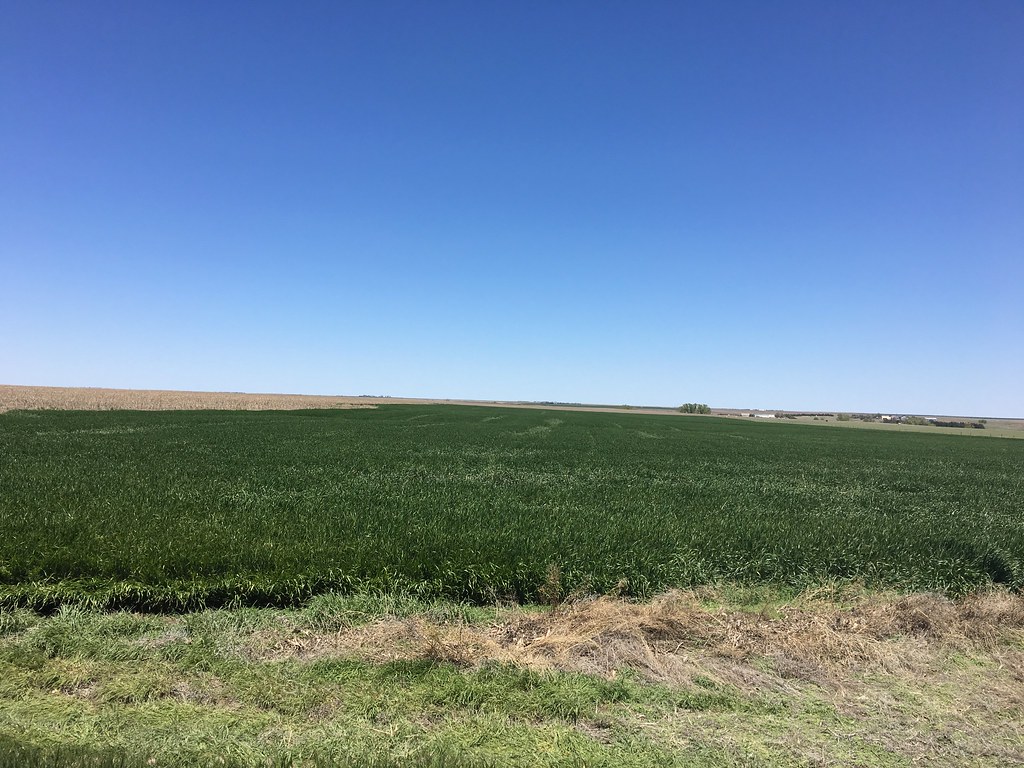 HPH-2017 Blizzard (Photo Contributed by Laura)