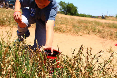 We were combining corn.