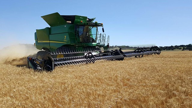 Schemper 2017 - Oklahoma Wheat Harvest