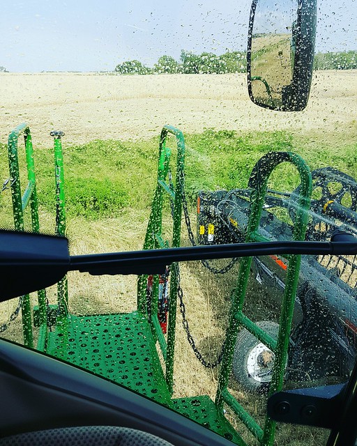 Schemper 2017 - Oklahoma Wheat Harvest