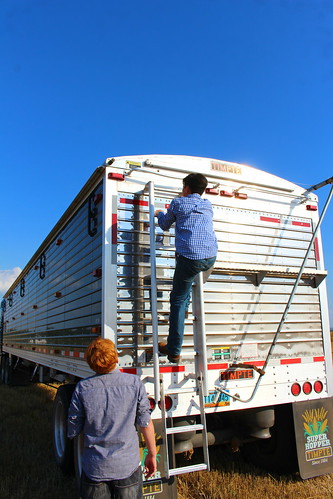 Climbing around the truck.