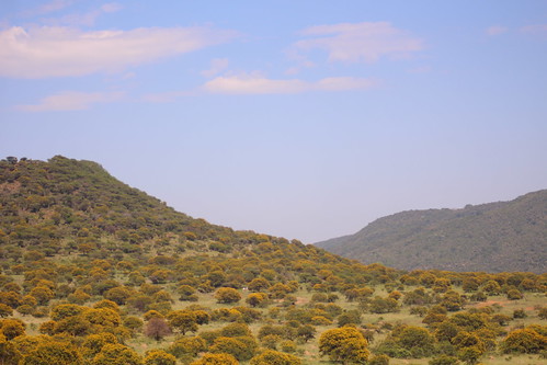 South African countryside.