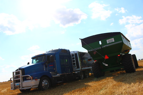 Blue getting loaded up.