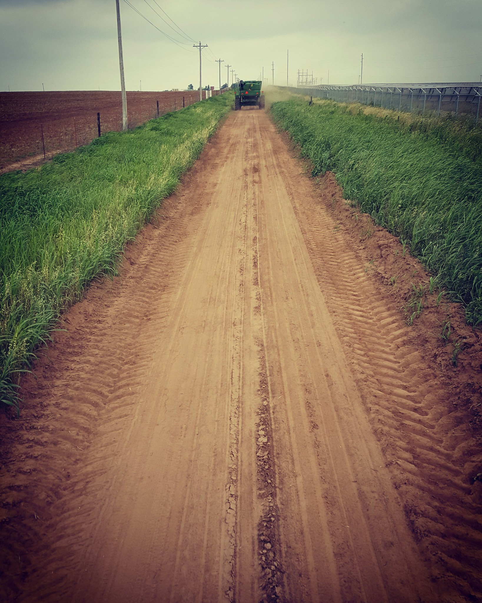 Schemper 2017 - Oklahoma Wheat Harvest