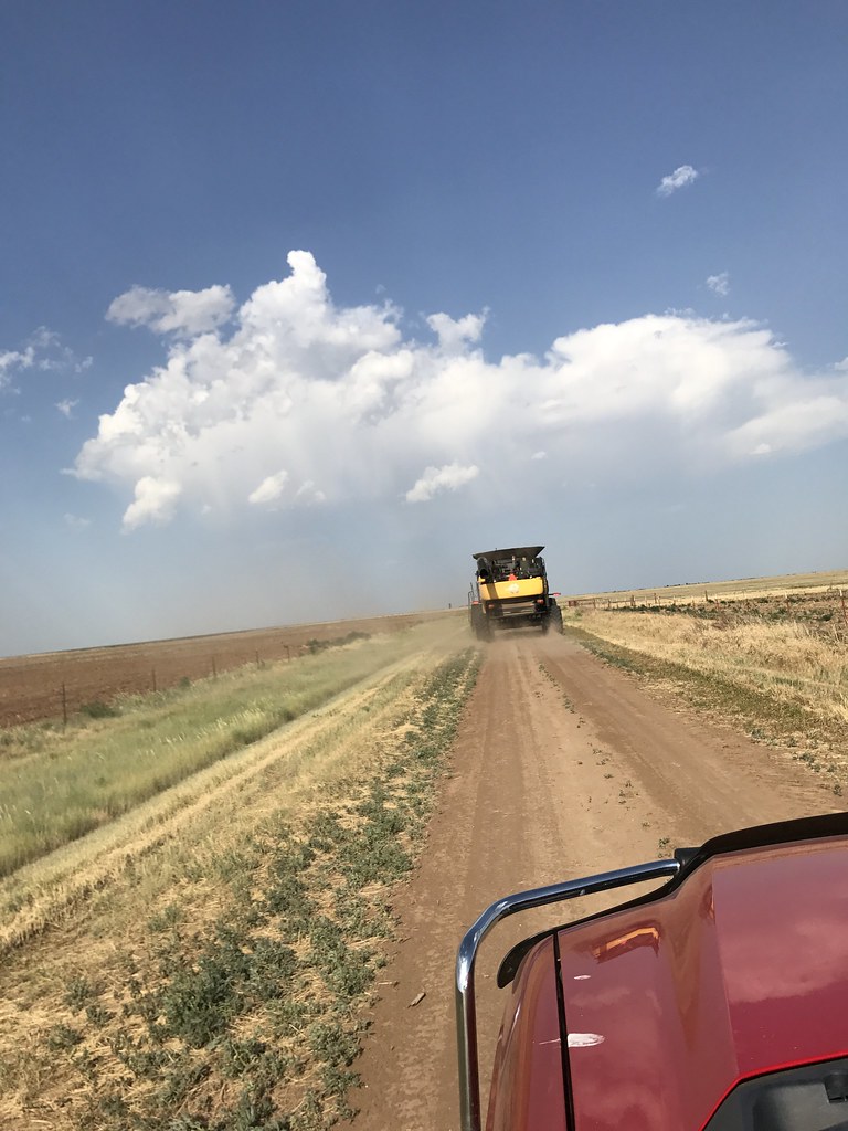 Headed to the next field.