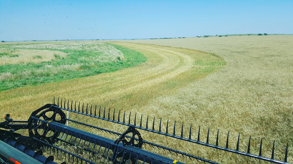 Schemper 2017 - Oklahoma Wheat Harvest