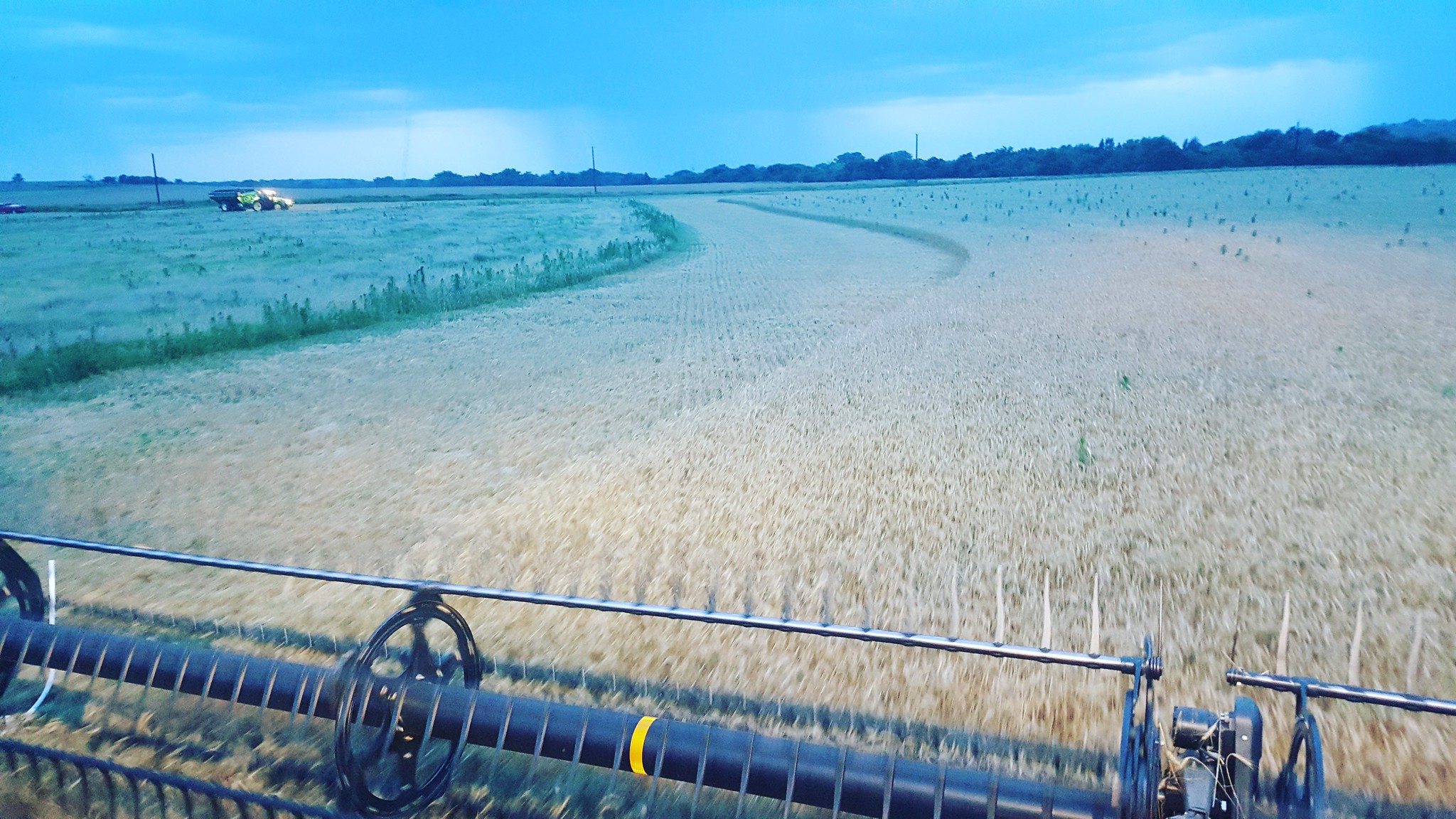 Schemper 2017 - Oklahoma Wheat Harvest