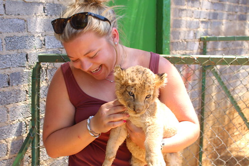 Baby lion!