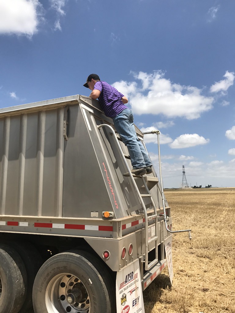 Z Crew: Because it's what harvesters do!