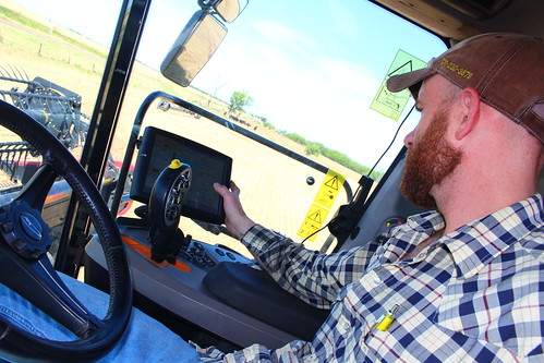 Getting all acclimated.