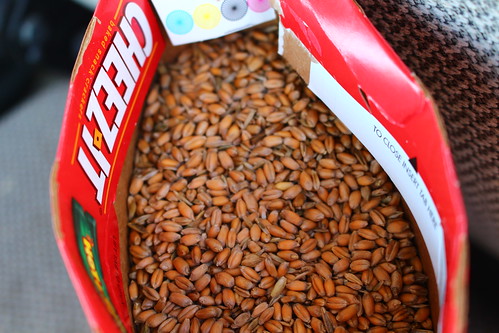 Today on Anderson Harvesting, we use a Cheez-It box for a sampe.