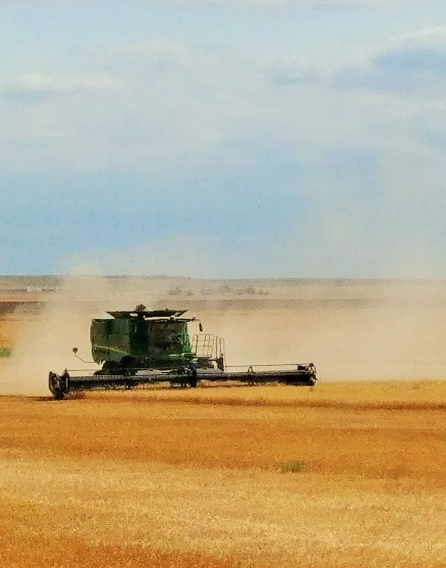 Hemphill County, Texas