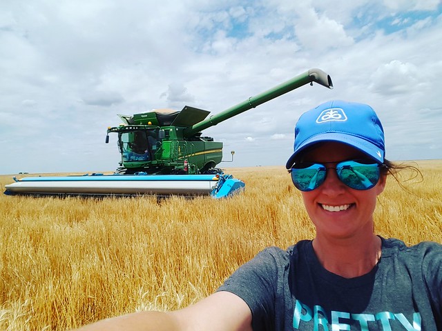 Schemper 2017 - Kansas Wheat Harvest