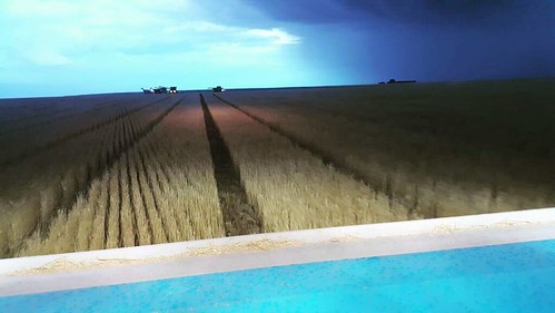 Schemper 2017 - Kansas Wheat Harvest