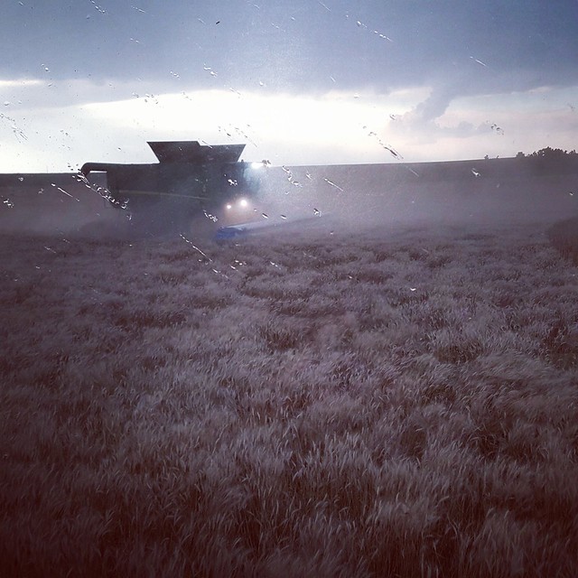 Schemper 2017 - Kansas Wheat Harvest