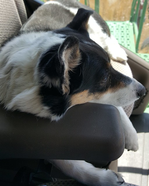 Schemper 2017 - Kansas Wheat Harvest