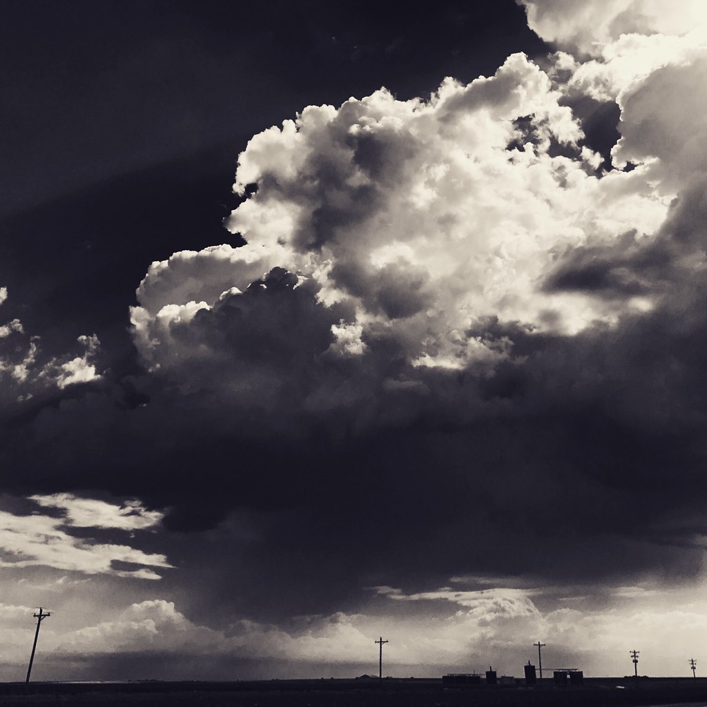 Z Crew: Because it's what harvesters do!