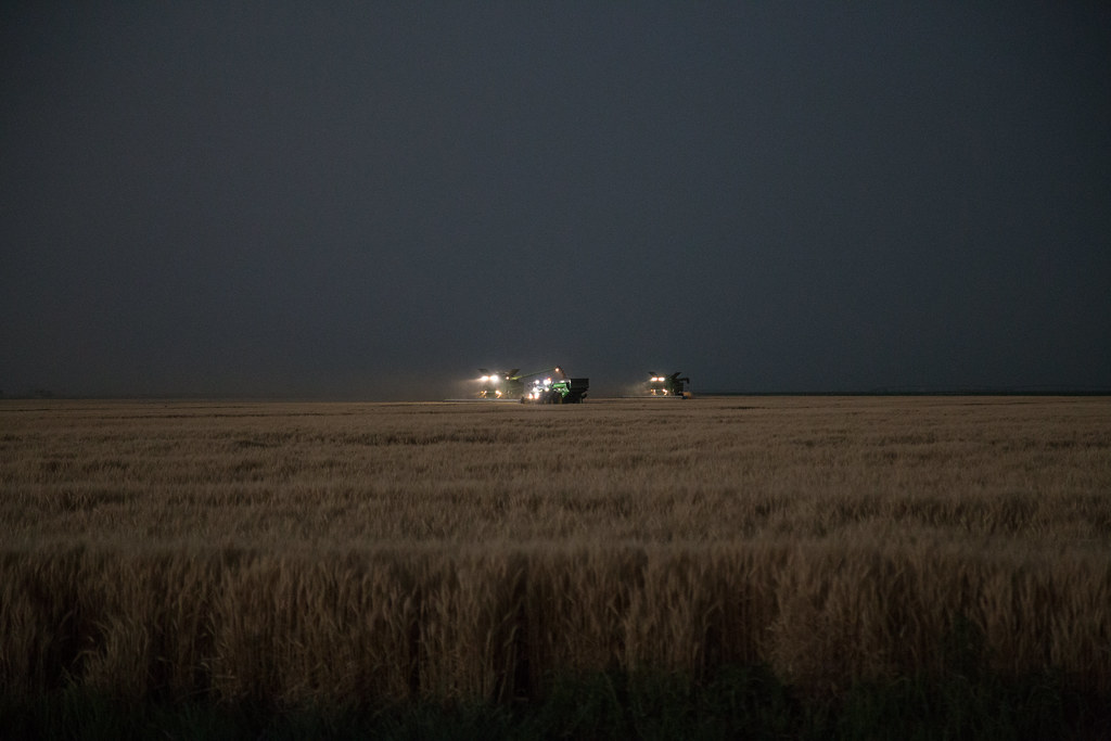 High Plains Harvesting (Photo Credit: Laura)