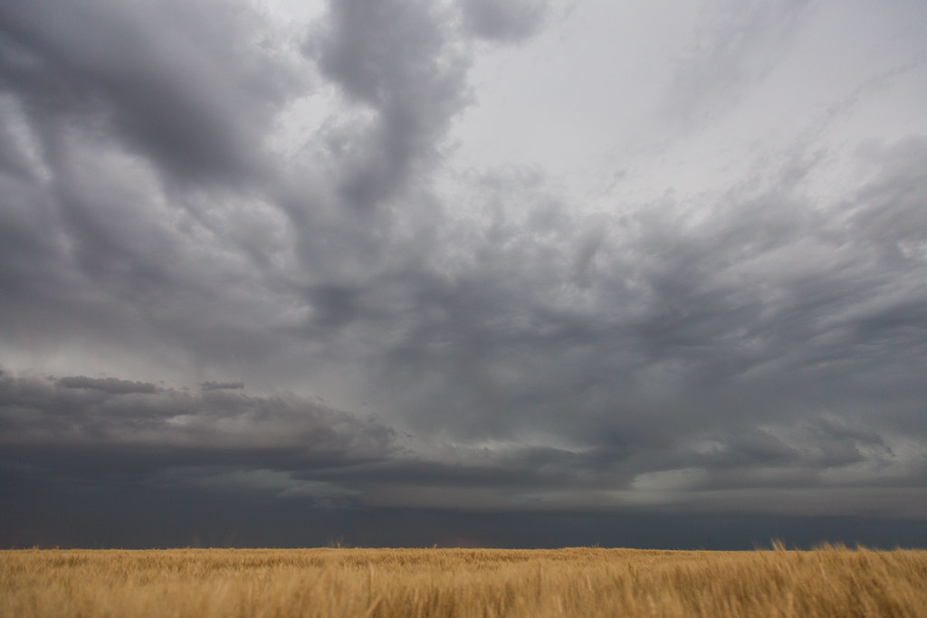 High Plains Harvesting (Photo Credit: Laura)