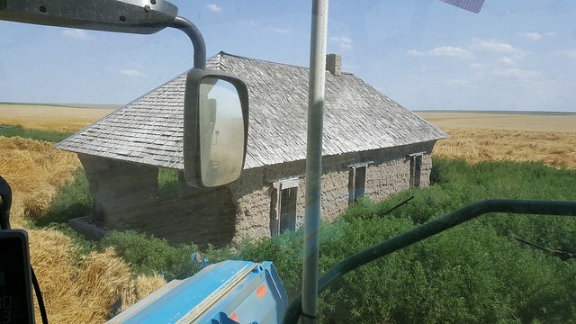 Schemper 2017 - Kansas Wheat Harvest