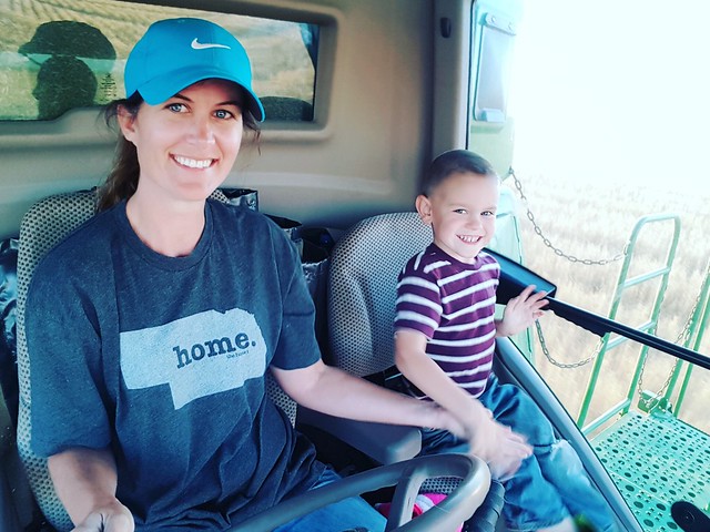 Schemper 2017 - Kansas Wheat Harvest