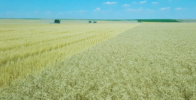 All Aboard Harvest