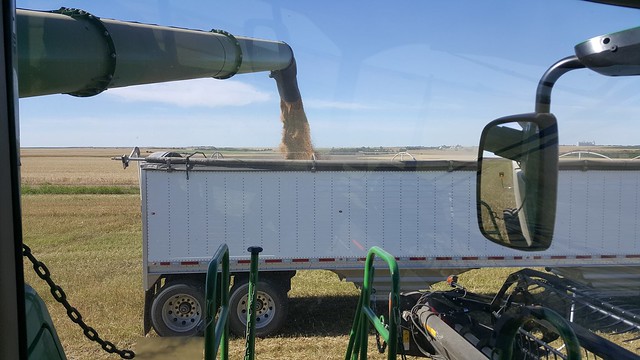 Schemper 2017 - Kansas Wheat Harvest