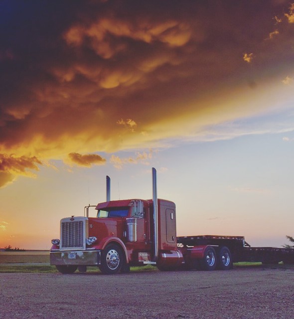 Schemper 2017 - Kansas Wheat Harvest