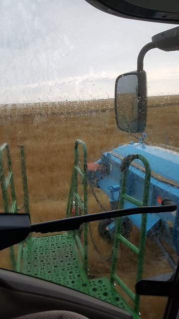 Schemper 2017 - Kansas Wheat Harvest