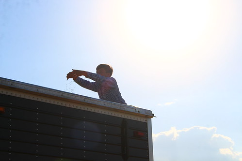They were so excited to play in the wheat! Reminded me of being a kid out in a wheat field myself -- many hours spent out here!