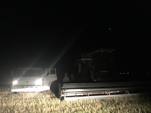 We are playing this game between Anderson Harvesting, C&K and now MacDon. It's called "Cabover Alert". If you see a cabover, you must take a photo and then your team gets a point! Followed this 1969 Ford out to his field to get this photo. WORTH IT.