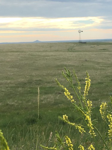 Stopped alongside the road for this one.