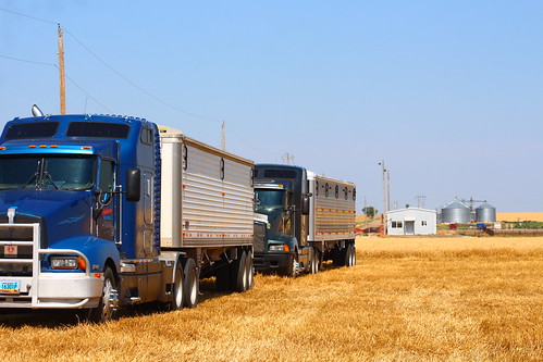 All lined up, just the way I like it.