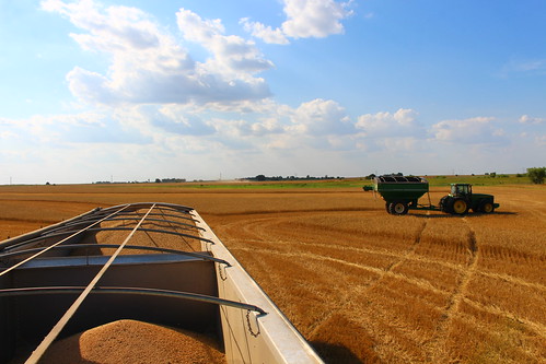 View from the hopper.