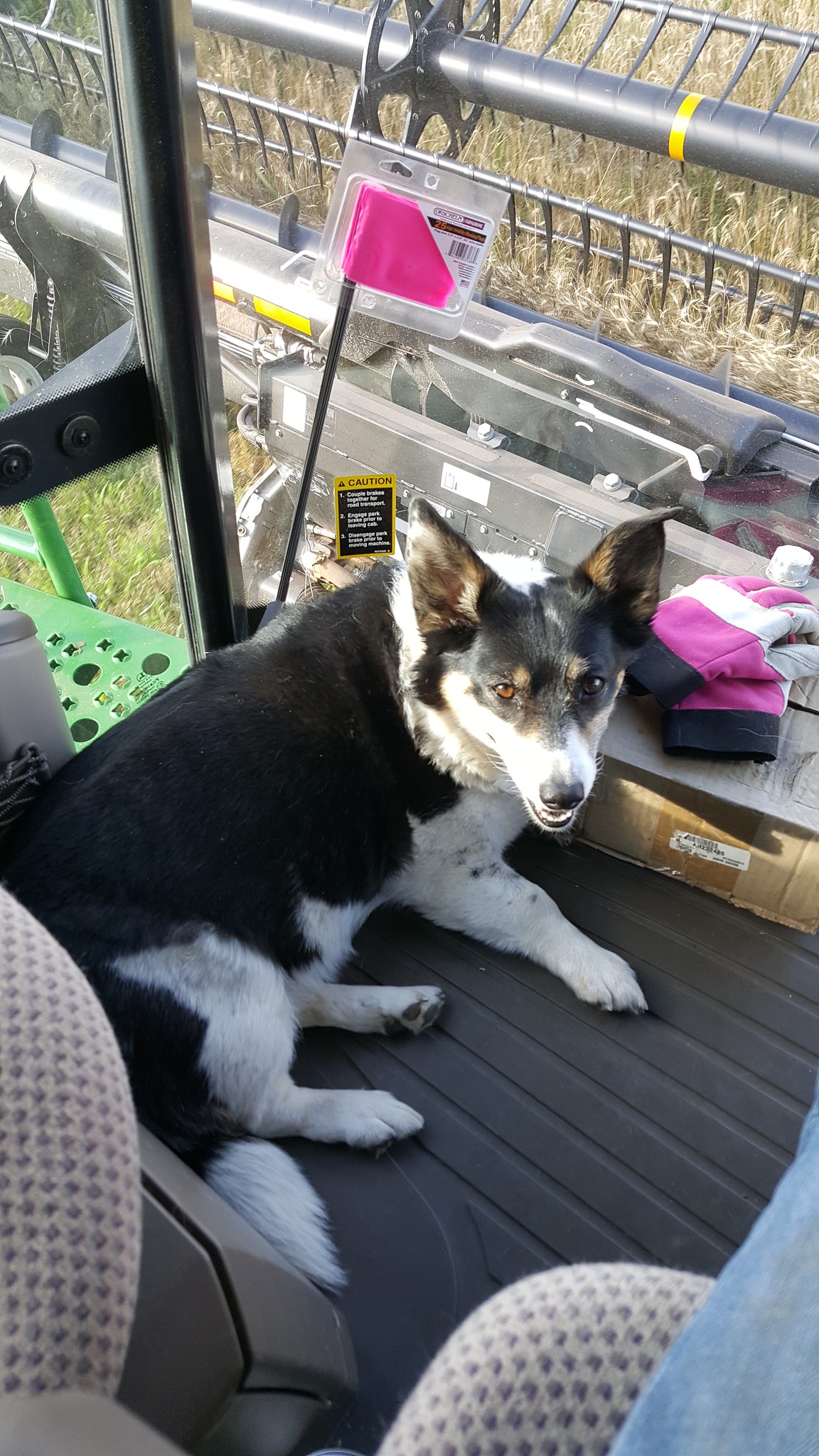 Schemper 2017 - Oklahoma Wheat Harvest