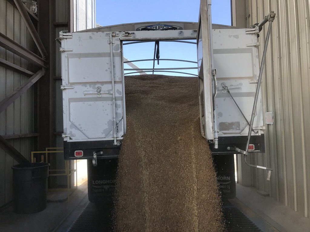 Z Crew: Because it's what harvestera do.