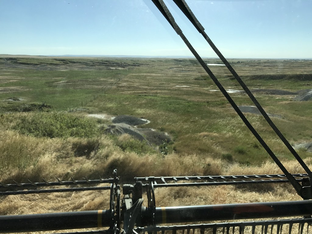 Z Crew: Because it's what harvestera do.