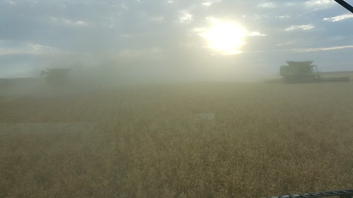 Schemper 2017 - Western Nebraska Wheat Harvest